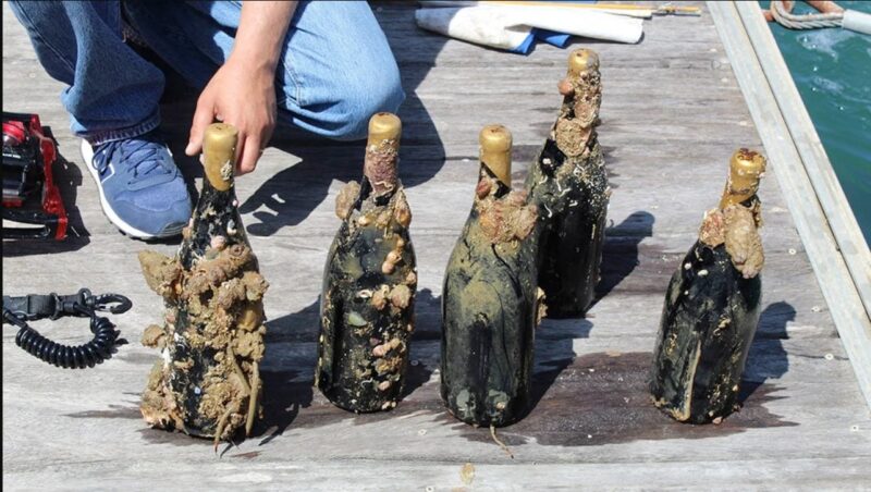 Des vins qui prennent le large