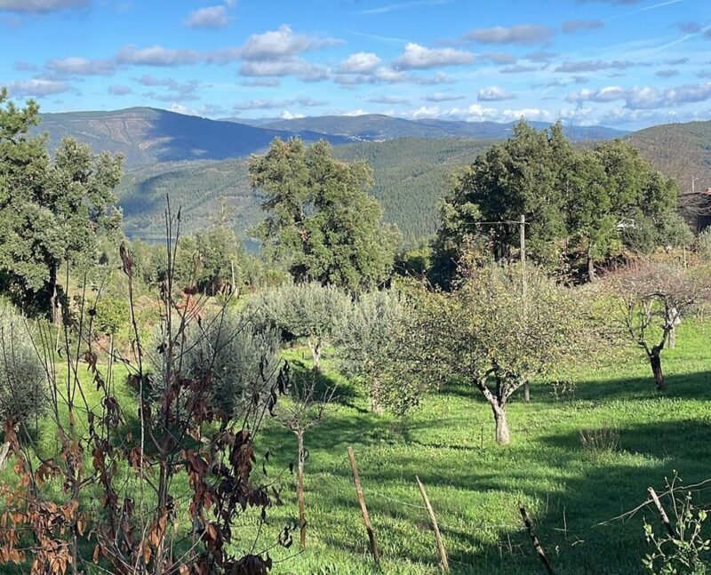 L’État reprend la main sur les terres sans propriétaire