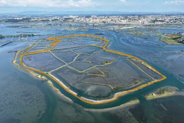 Aveiro : île à vendre dans la lagune