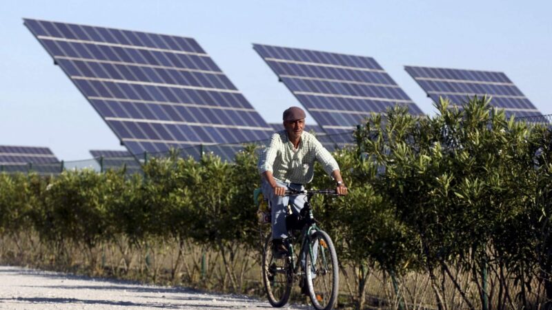 Les écologistes condamnent l’emplacement de la nouvelle centrale solaire de l’Alentejo