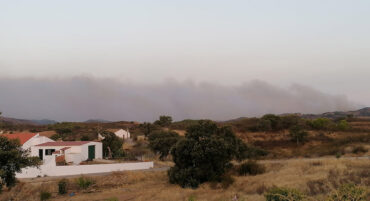 MISE À JOUR: L’incendie de forêt de Castro Marim maîtrisé