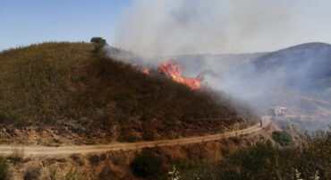 La chaleur torride et les vents forts font rallumer le feu de forêt de Castro Marim;  280 pompiers combattent l’incendie