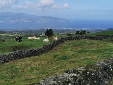 Les « spéculateurs » immobiliers s’évanouissent dans les airs – Mystère des Açores