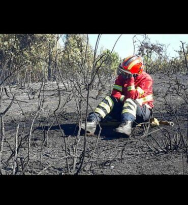 43 721 hectares de terres détruits par des incendies déjà cette année