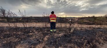 Des chercheurs étudient de nouveaux plans d’urgence pour les incendies de forêt