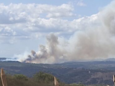 Grand incendie dévorant des terres rurales à Odemira