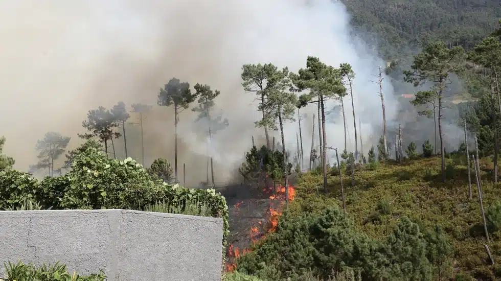 Quatre personnes sans abri et deux maisons détruites dans les incendies de forêt à Madère