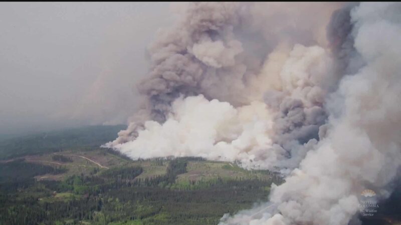 Le Portugal enverra plus de 100 agents de la protection civile pour aider à lutter contre les incendies de forêt au Canada