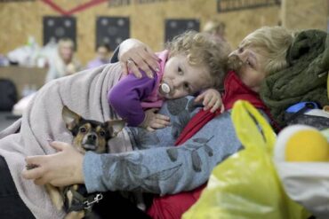 Ukraine : Animal Rescue Algarve passe à l’action pour faire la différence