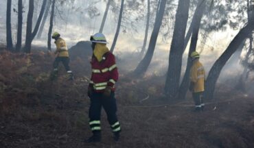 Les 140 pompiers portugais reviennent du Canada après quinze jours