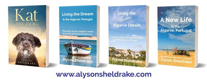 Événement Rencontrez l’auteur – Alyson Sheldrake