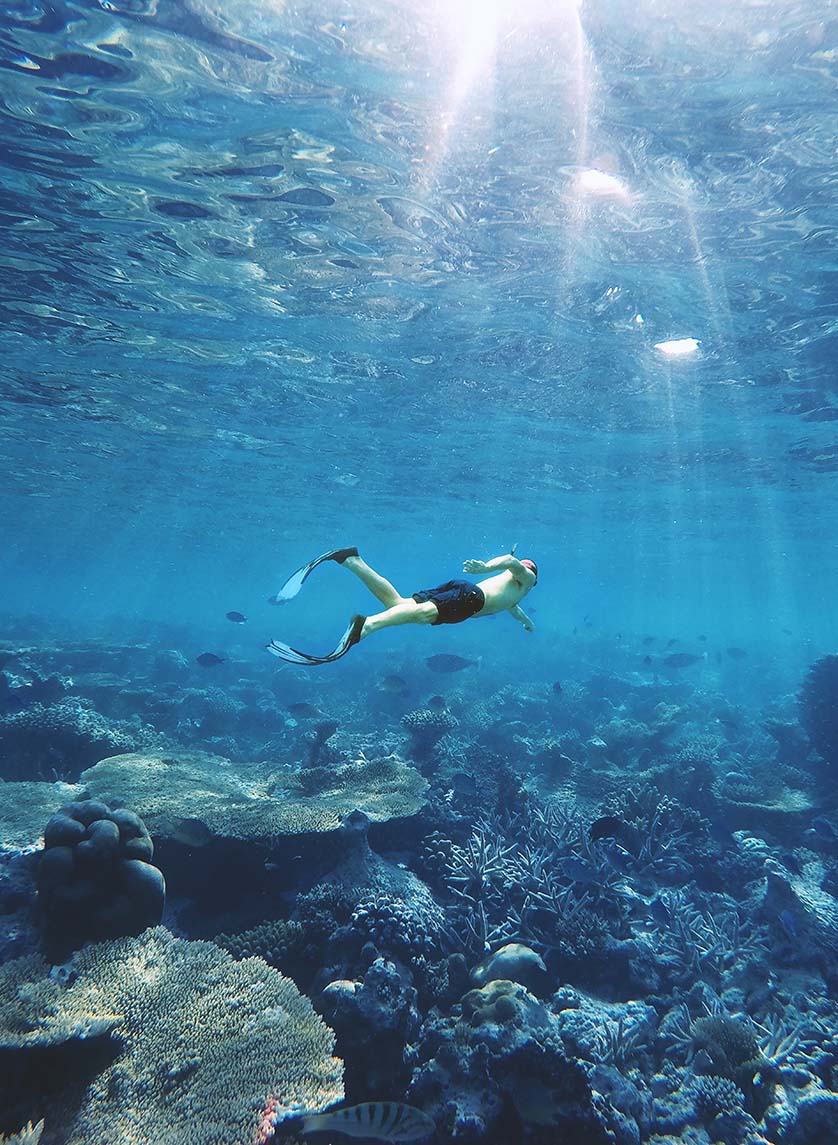 plongée-sous-marine-algarve-activites-fun-hobbies