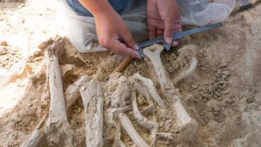 Silves accueille la 10e réunion d’archéologie de l’Algarve