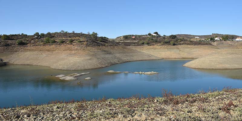 La sécheresse a augmenté et s’est intensifiée dans la région sud en mars – IPMA