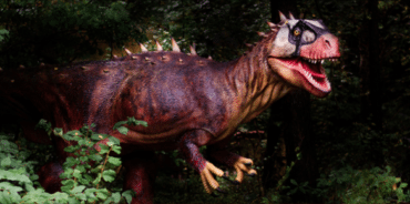 Sur les traces des dinosaures à Lourinhã