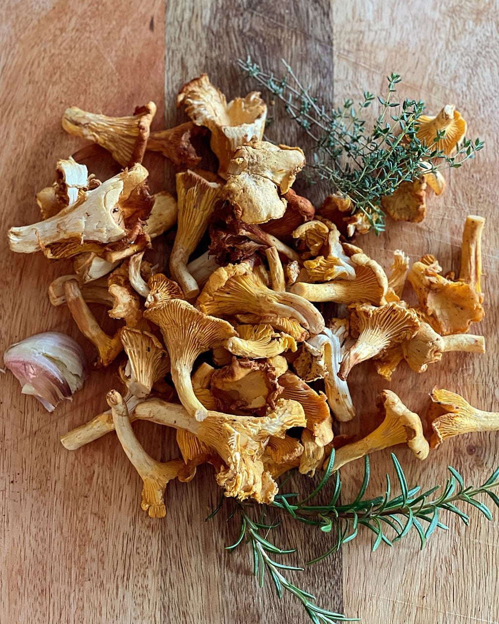 Trompettes d’automne, girolles ! Vivre le Portugal