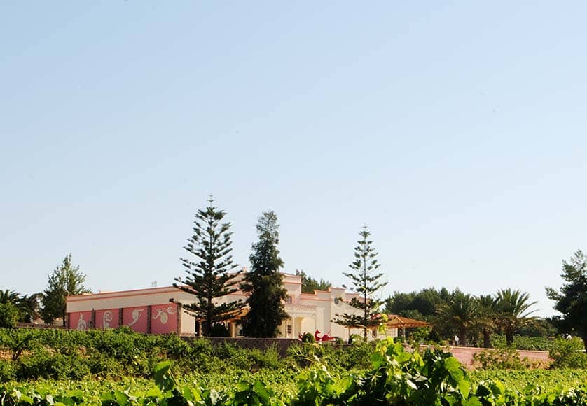 quinta-dos-vales-algarve-domaine-viticole