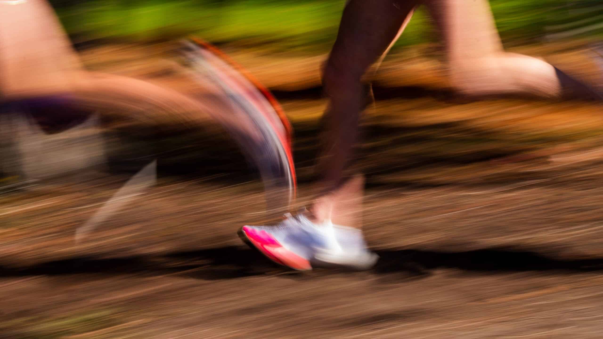 Lagoa accueillera les Championnats d’Europe de crosscountry en 2025