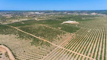 L’Algarve « doit réfléchir à des activités qui ne nécessitent pas beaucoup d’eau »