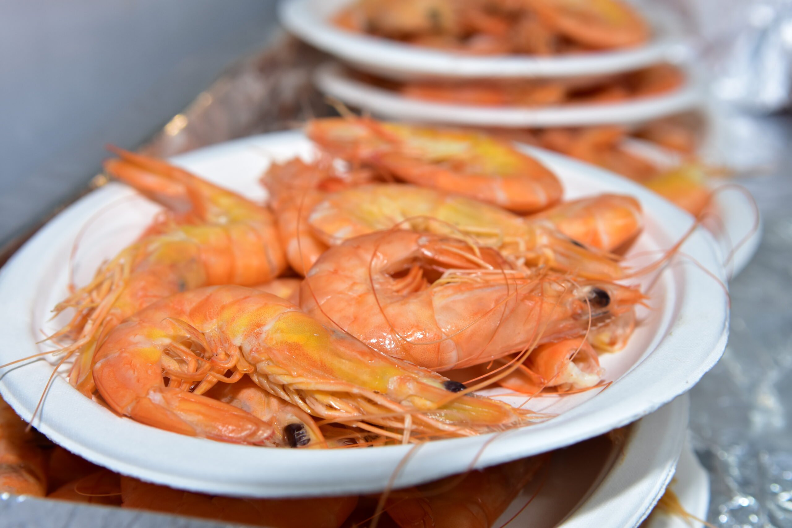 Dégustez les meilleures tapas de pêcheurs à Quarteira Vivre le Portugal