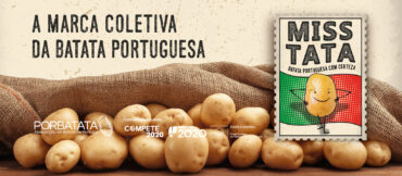 La sécheresse réduit la production de pommes de terre de 10 % – association