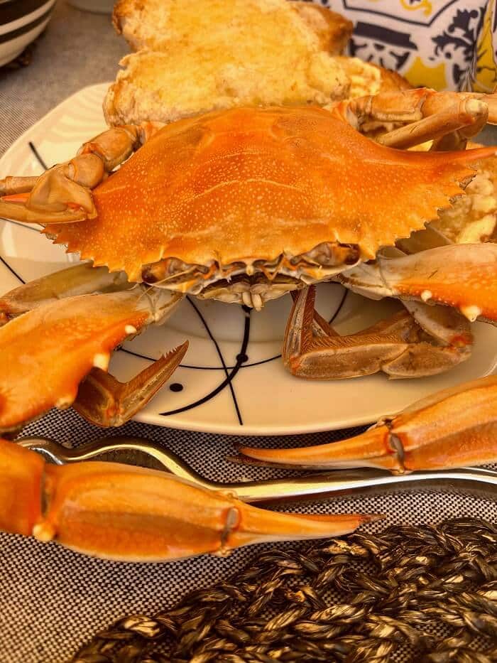 Crabe bleu de Patrick Stuart