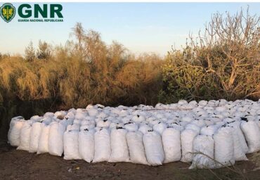 Plus de 8 tonnes de caroubes saisies à Manta Rota