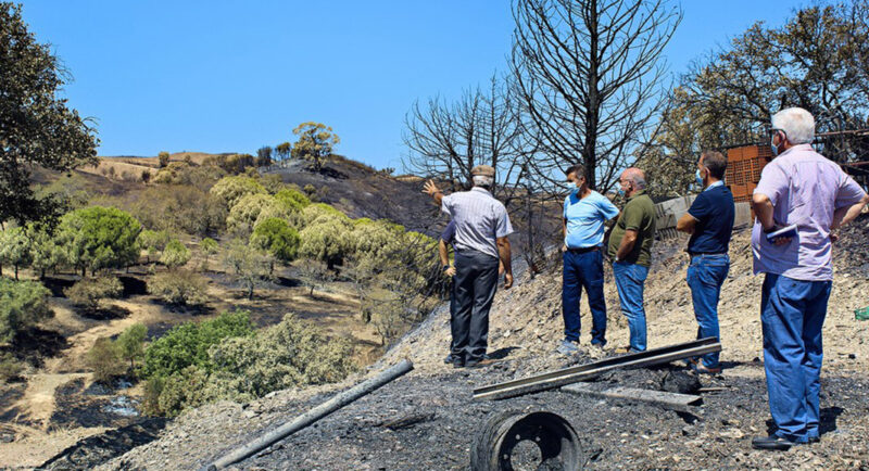 Les autorités rencontrent des agriculteurs pour évaluer les dommages causés par l’incendie de Castro Marim