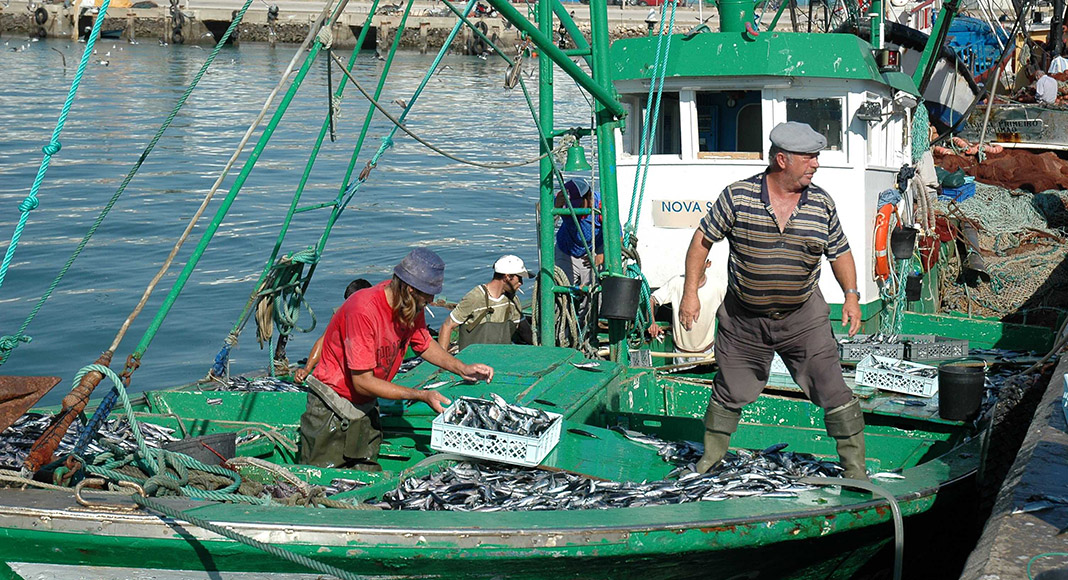 La crise de la pêche en Algarve se profile en raison de la hausse des prix du carburant