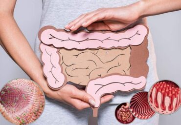Leaky gut syndrome : la cause fondamentale méconnue des maladies chroniques