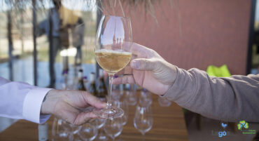 Lagoa Wine Experiences revient le 1er octobre