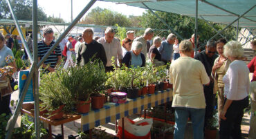 Salon des jardins méditerranéens de printemps et jardinage résistant à la sécheresse