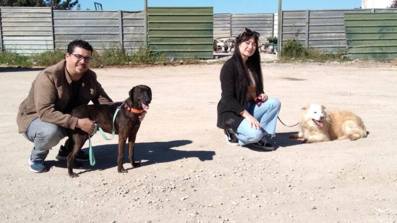 Ouverture d’un refuge pour animaux municipal à Olhão