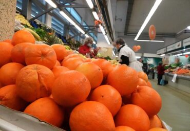 De délicieuses oranges pour tous à Portimão et Silves
