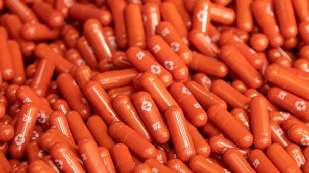 L’EMA dit aux États membres qu’ils peuvent rendre la pilule expérimentale Covid disponible pour une utilisation d’urgence
