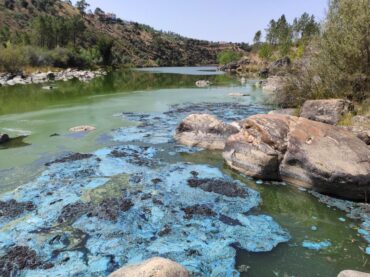 Des groupes écologistes appellent à l’action contre la pollution de la rivière Ocreza