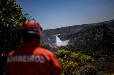 Incendie d’Odemira : « D’excellentes performances » des pompiers ont empêché les flammes de se propager davantage