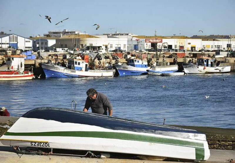 « Nous avons été ignorés » – des pêcheurs contre le parc marin de l’Algarve