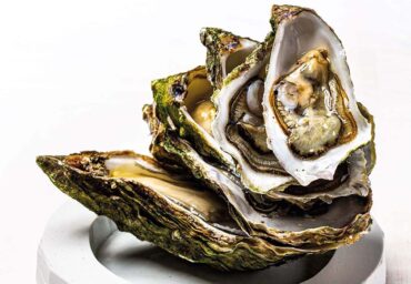 Les huîtres exquises d’Ostra Select prennent la route avec un nouveau service de restauration