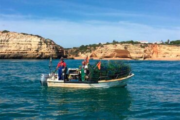 Le gouvernement approuve la zone marine protégée de l’Algarve