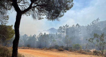 Le brûlage contrôlé tourne mal et suscite des inquiétudes à Quinta do Lago