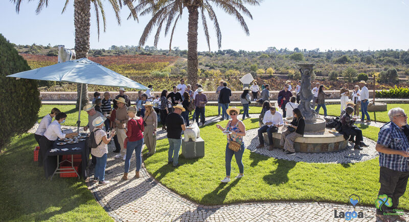 Les Lagoa Wine Experiences 2021 très demandées, selon les organisateurs