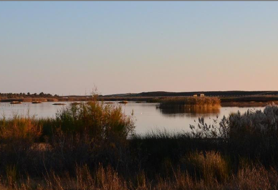 Les ONG saluent la pression massive pour transformer les zones humides côtières de l’Algarve en réserve naturelle