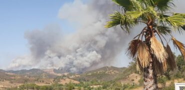 Plus de 200 pompiers luttent contre l’incendie de Silves