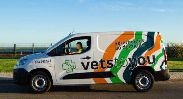 Vetstoyou est arrivé en Algarve – votre vétérinaire à domicile