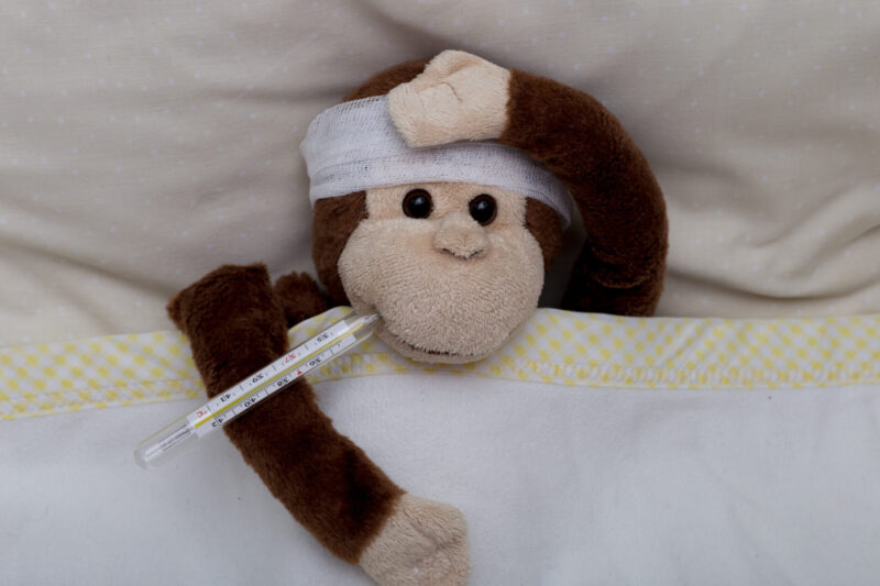 Le Portugal se classe au 6e rang pour les cas de Monkeypox en Europe