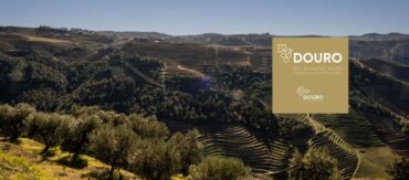 Douro est la capitale européenne du vin 2023