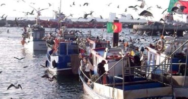 Les pêcheurs « trahis » à cause des parcs éoliens demandent une réunion parlementaire urgente