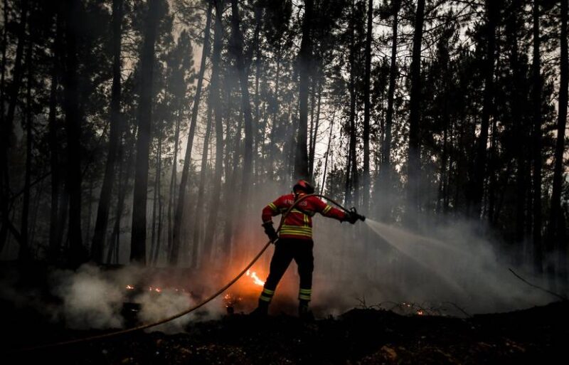 58 personnes évacuées alors que plus de 600 pompiers continuent de lutter contre l’incendie de Castro Marim