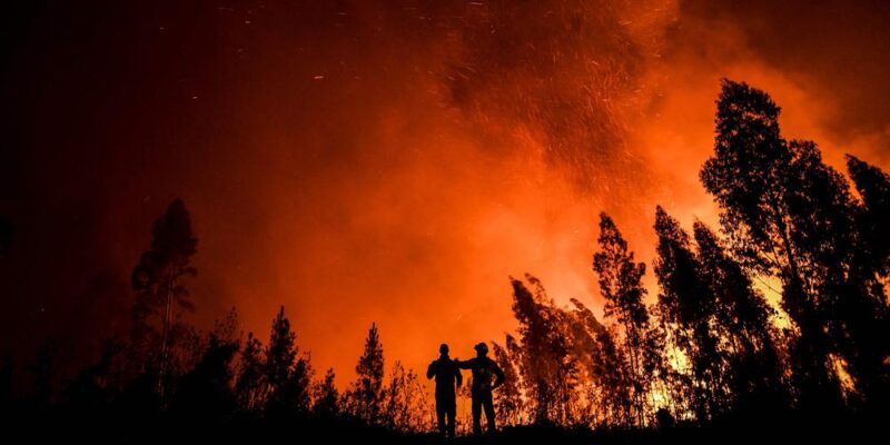 L’incendie de Castro Marim continue de faire rage : 9 000 hectares détruits ;  81 personnes et 200 animaux évacués